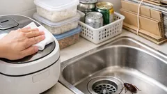 ゴキブリ対策は毎日の習慣で変わる 見落としがちな7つの原因と今日からできる予防法